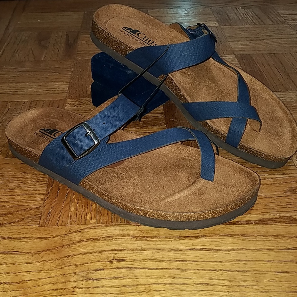 NWOT Blue Sandal/Flip Flop